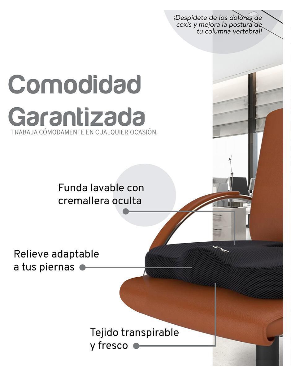 Cojín 9