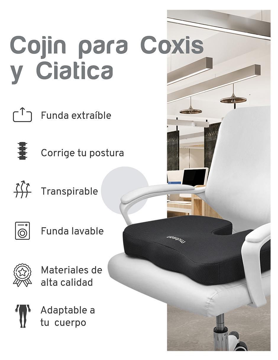 Cojín 11