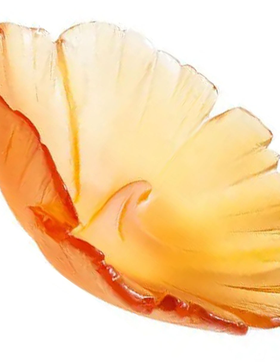 Bowl decorativo Ginkgo