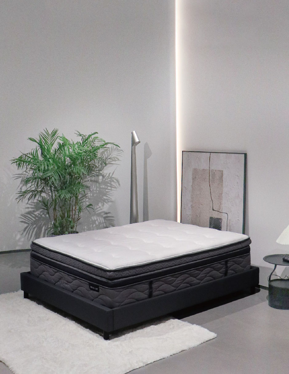 Colchón regular Dream Luxe confort medio 6